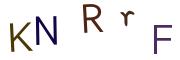 Recopier le code Captcha de l'image