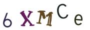 Recopier le code Captcha de l'image