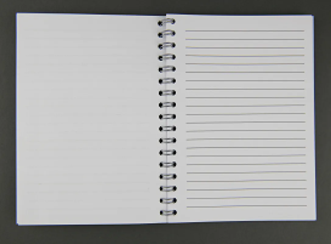 Vue 3 – Petit carnet A6 à spirale 4L